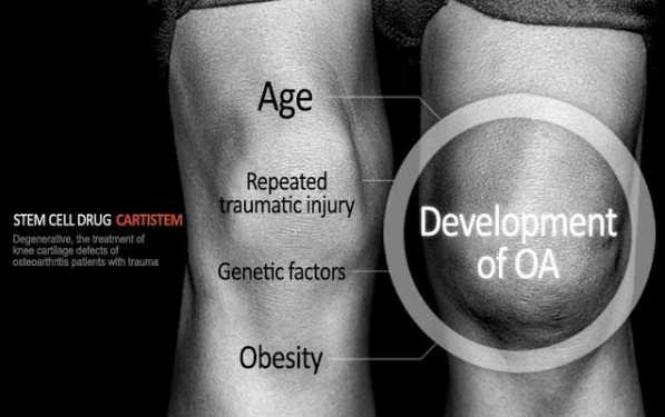 1532050025736028aAlH.png 圖片122.png